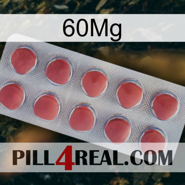 60Mg 18.jpg